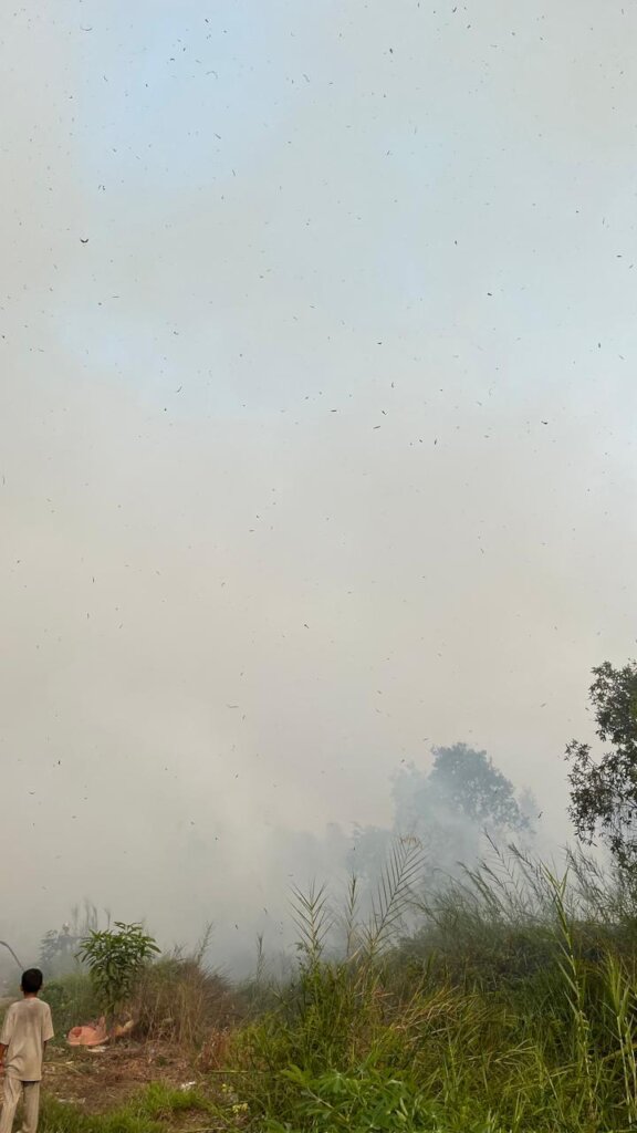 Hazardous Haze in Kalimantan