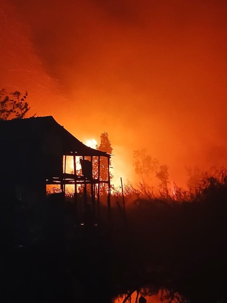 Condition in the forest fire