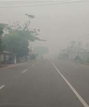 The Hazardous Haze in West Kalimantan