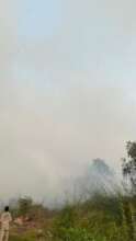 Hazardous Haze in Kalimantan