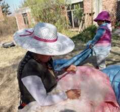 Marquina woman working alpaca wool child playing