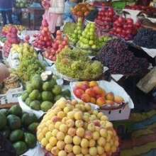 Jungle fruits and vegetables displayed