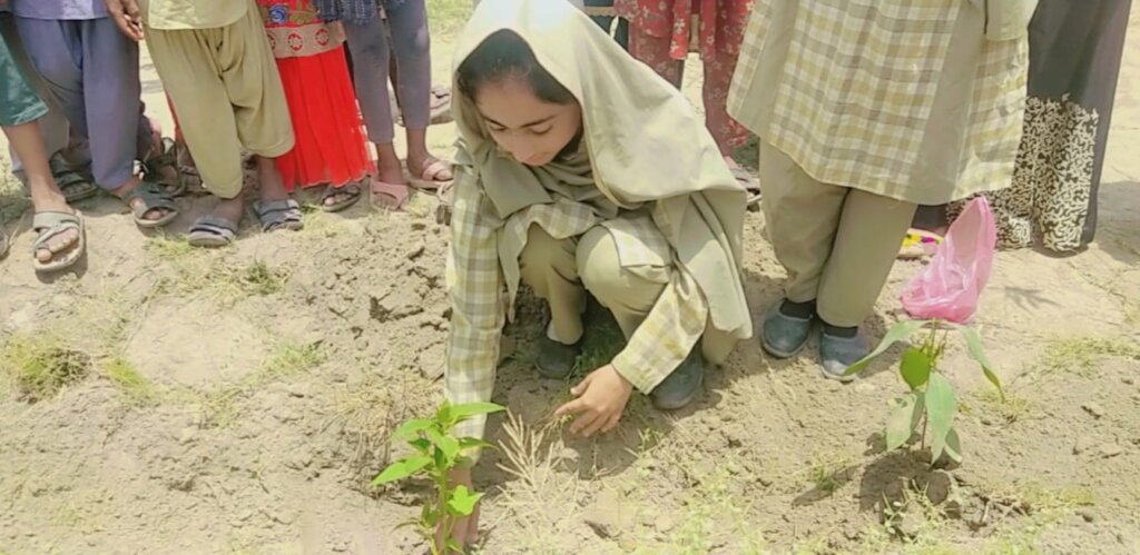 Green Champions: 10,000 Trees for Rural Schools
