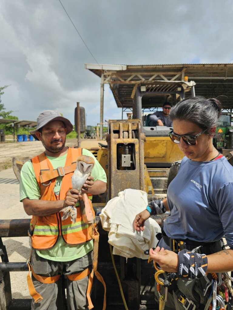 Using natural pest control 4 a Poison Free Belize