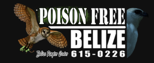 Poison Free Belize bumper sticker