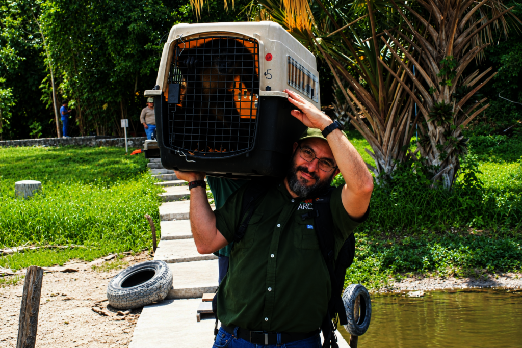 From Rescue to Freedom: Wildlife in Guatemala