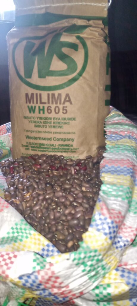 Support Displaced Families by Subsistence Farming