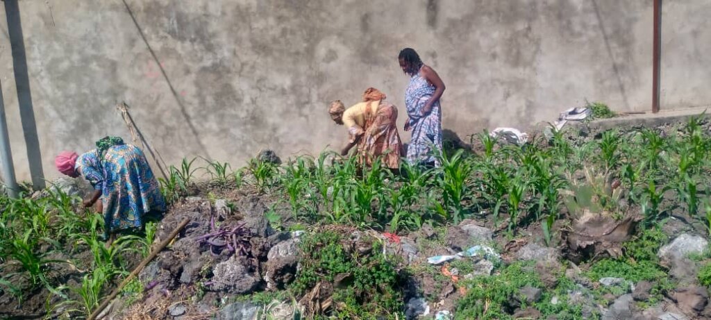 Support Displaced Families by Subsistence Farming