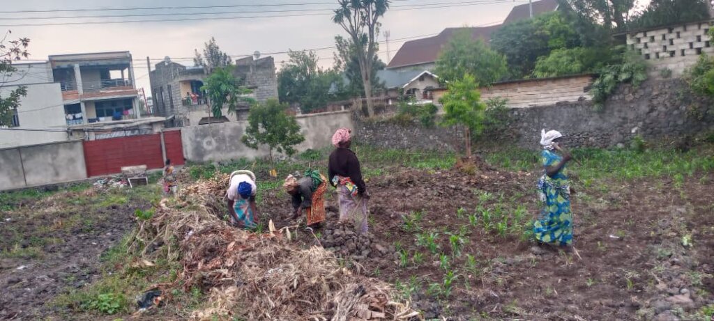 Support Displaced Families by Subsistence Farming