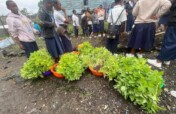 Grow a Garden, Feed Goma's Orphans