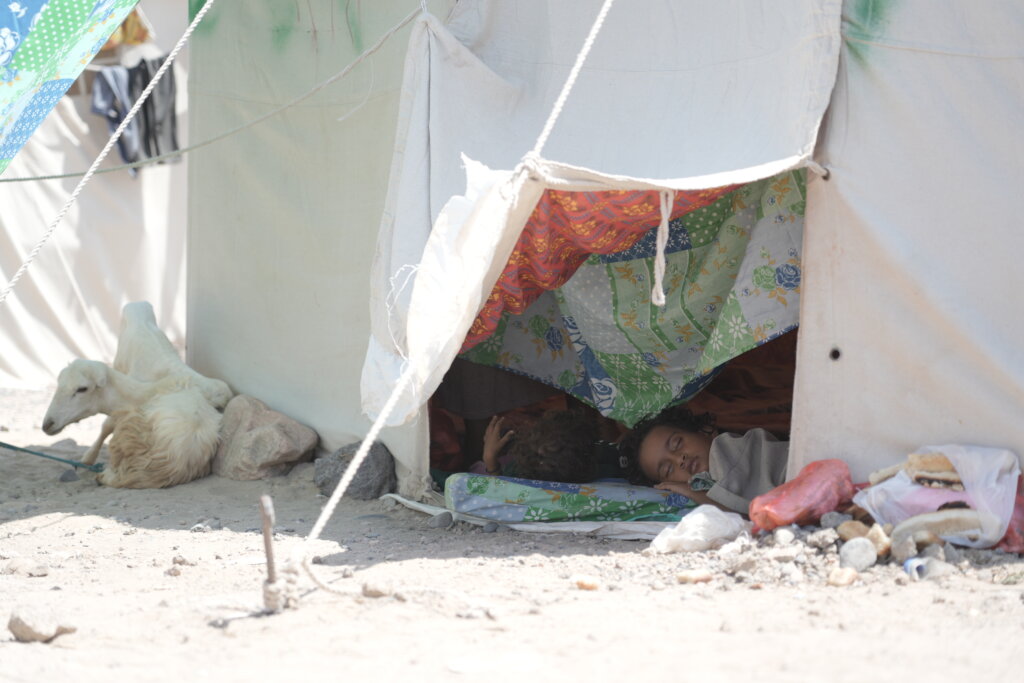 Water & Food for 200 Families Fleeing War in Yemen