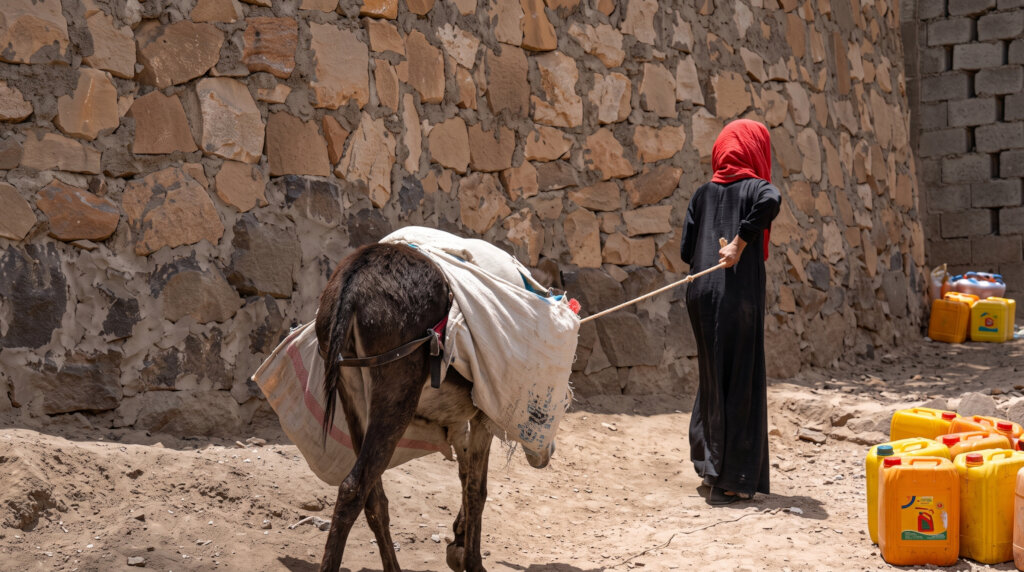 Clean Water for 5,508 People in Sabin Valley, Taiz