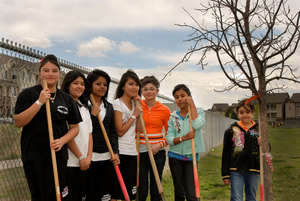 Tree Planting 2010
