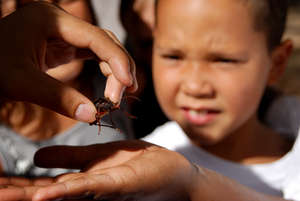 Introducing youth to outdoor science education!