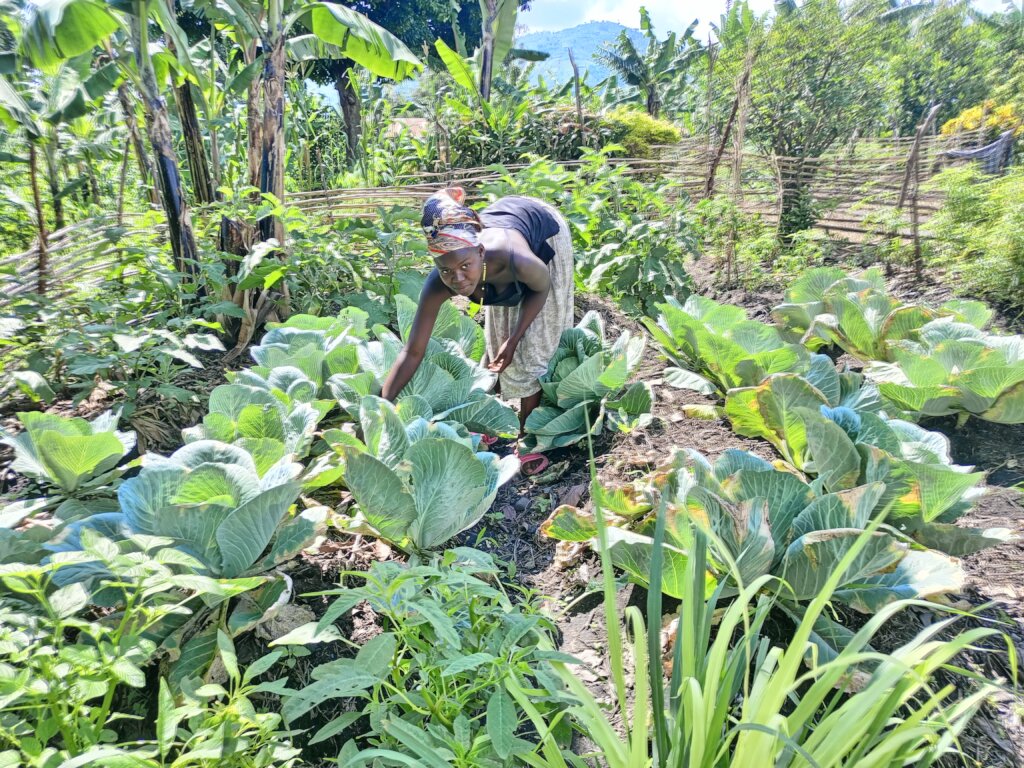 Women-Led Organic Gardens and SheSolar Enterprises