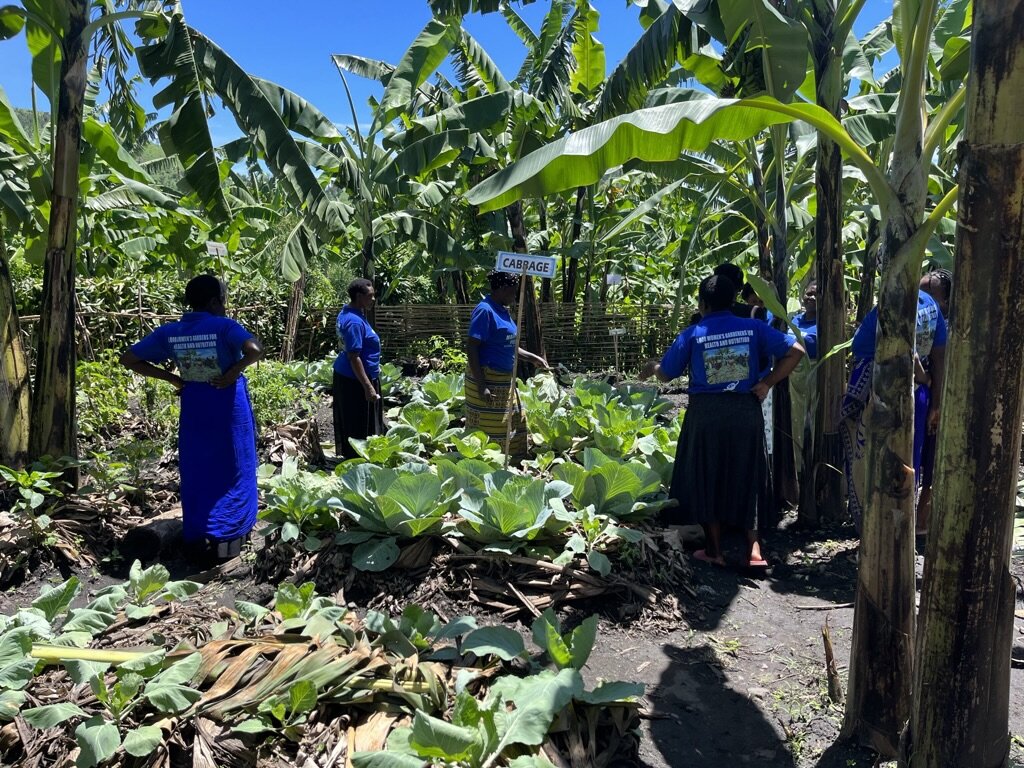 Women-Led Organic Gardens and SheSolar Enterprises