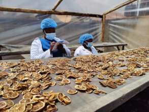 solar drying fruits