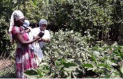 Women-Led Organic Gardens and SolarSHE Enterprises