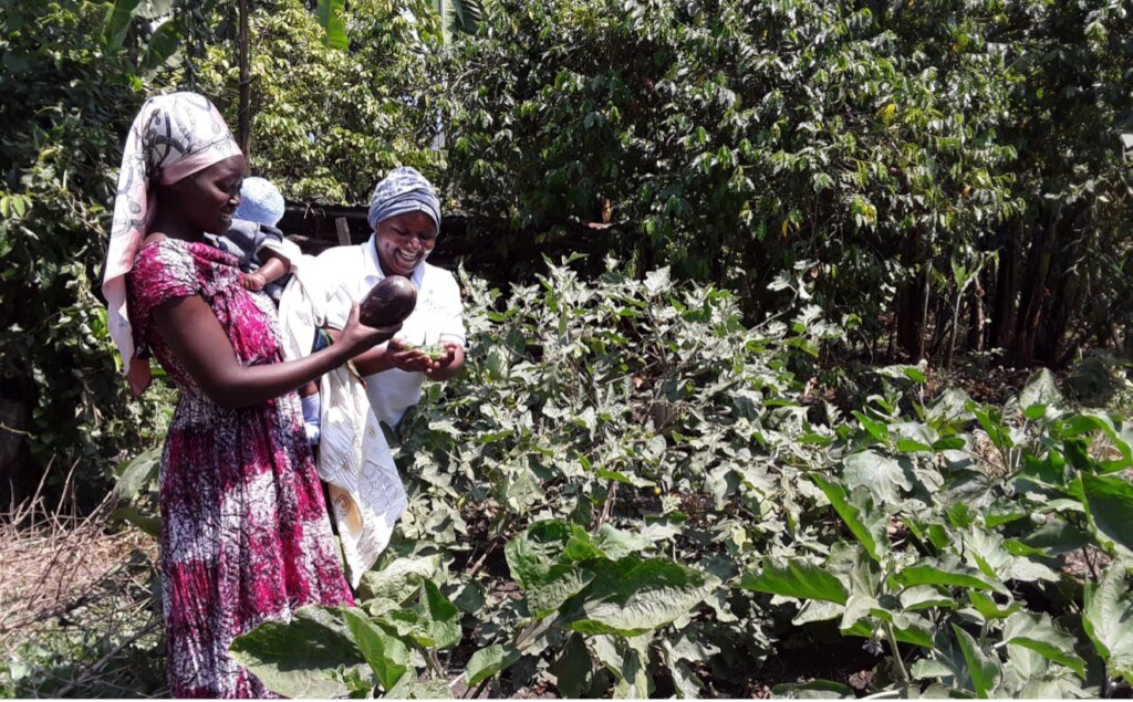 Women-Led Organic Gardens and SheSolar Enterprises