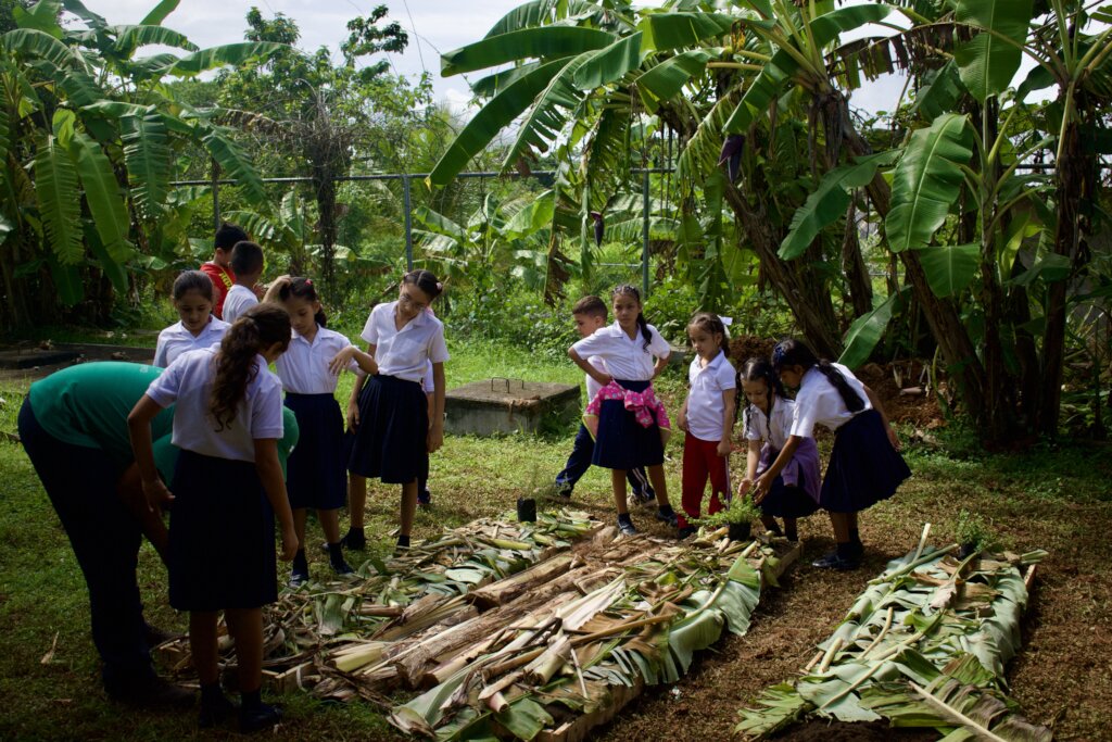 Send 4000 Rural Kids to Panama's Biggest Eco-Fest