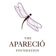 Aparecio Foundation Stereotype Threat Campaign