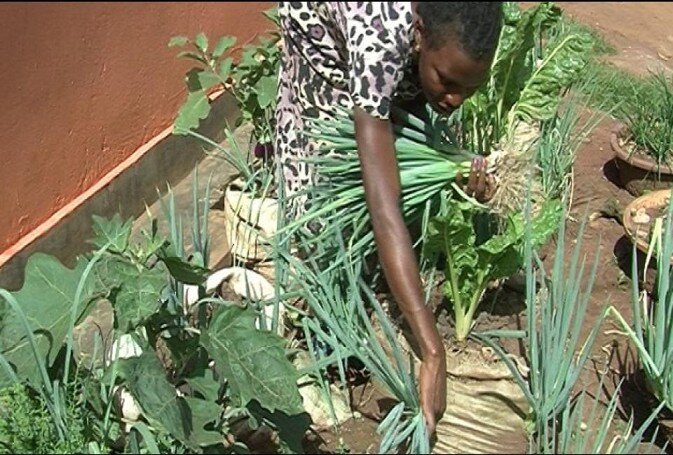 Briquette and Solar Light for Iganga youth Future