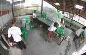 Environmental Awareness, Recycling & Culture