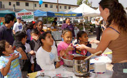 Farmers market