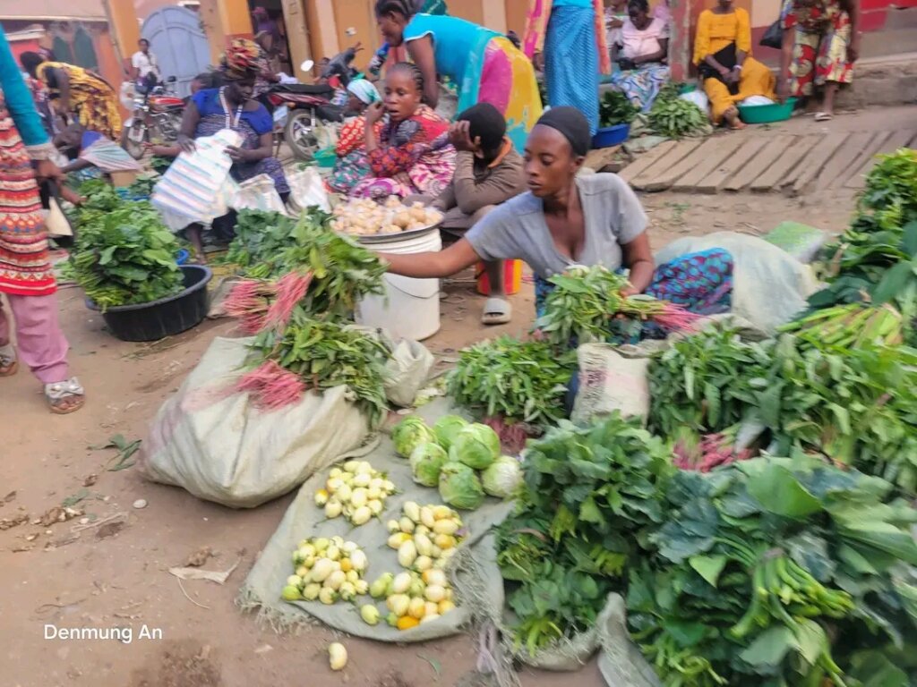 Rebuild Livelihoods After War in Bukavu,DR Congo