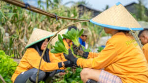 Students in the farm