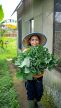 Harvesting