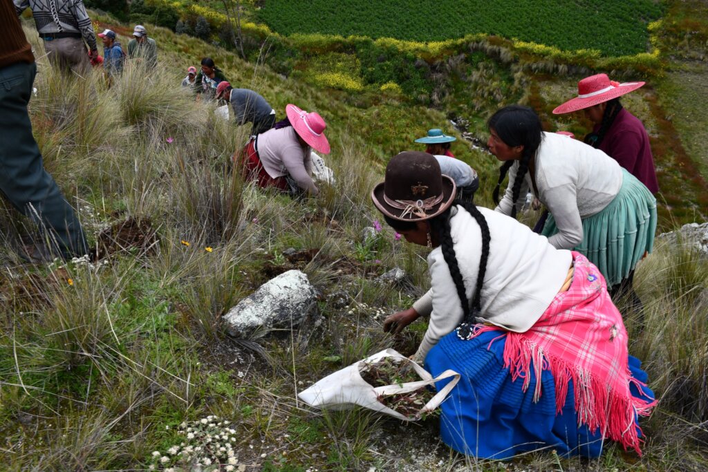 Warmi Kewinas: Women Restoring Bolivia's Forests