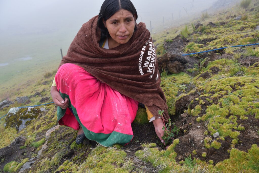 Warmi Kewinas: Women Restoring Bolivia's Forests