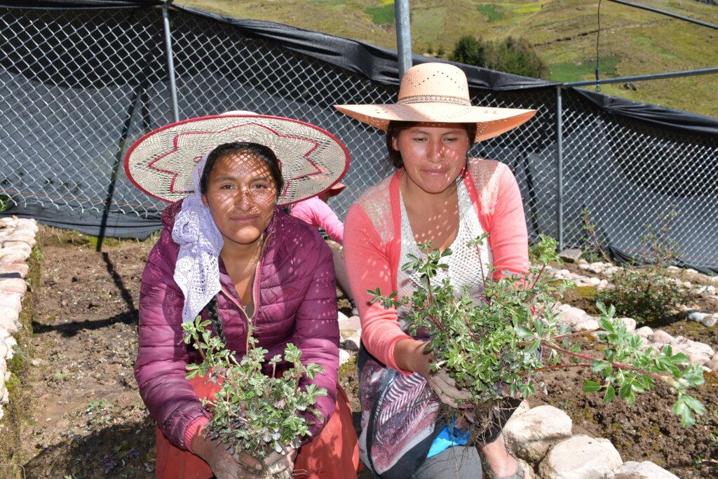 Warmi Kewinas: Women Restoring Bolivia's Forests