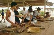 Amazon School - Education for Sustainability
