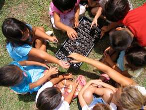 Children Learn in the Garden