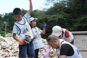 Experience of making mother shells to raise oyster