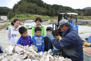 Learn, how to make mother shells to raise oysters.
