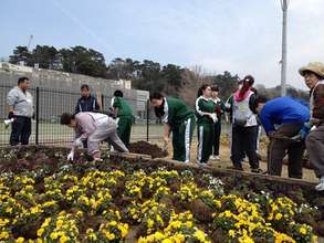 Students replant flowers in front of their school.