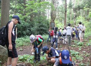 Hiking in Mt. Magi