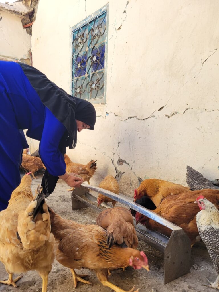 Building Resilience in Morocco