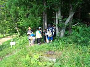 English Adventure Summer Camp