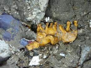 Personal effects left behind in the rubble
