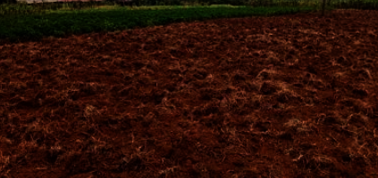 BOMA - Secure The Land