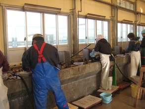 Inside of the Oyster Processing Facility