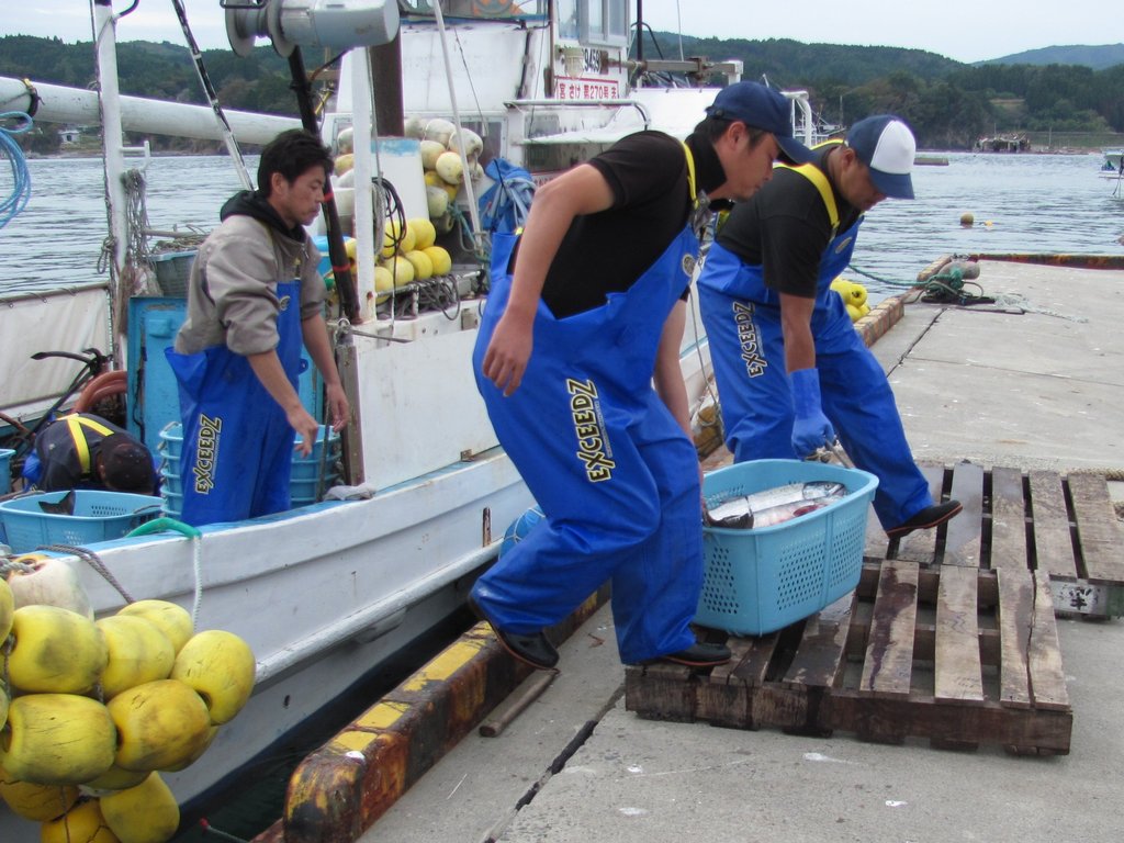 Revitalize the Fishing Industry in Northeast Japan