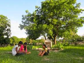 Studying in the afternoon