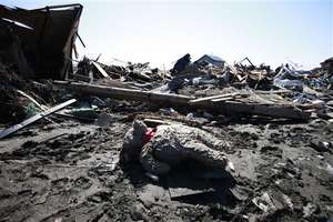A teddy bear among debris in Higashi-Matsushima