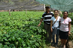 Getting organic coffee for IBREA members & donors