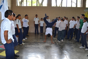 Walking handstands